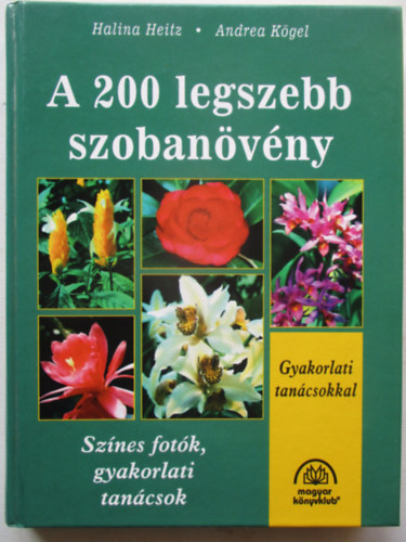A 200 legszebb szobanvny