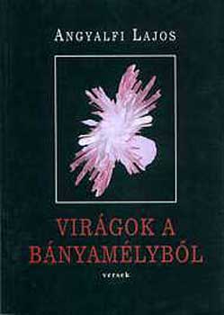 Angyalfi Lajos - Virgok a bnyamlybl