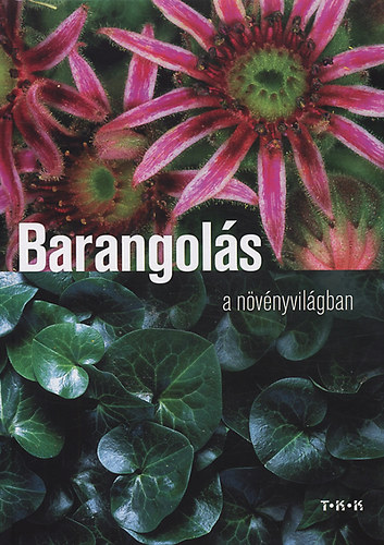 Barangols a nvnyvilgban