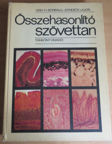 Vigh H. Borb�la-Kondics Lajos - �sszehasonl�t� sz�vettan