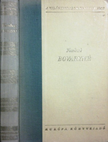 Gustave Flaubert - Bovaryn