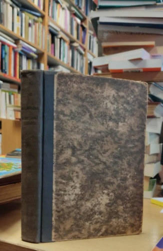 Zója Balandina - Moszkvai úttörők - Egy úttörő-vezető naplója