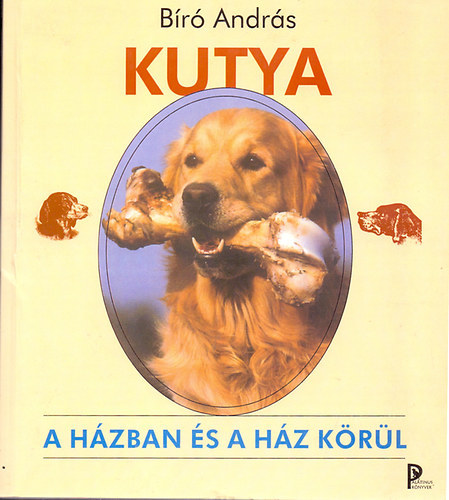 Kutya a hzban s a hz krl