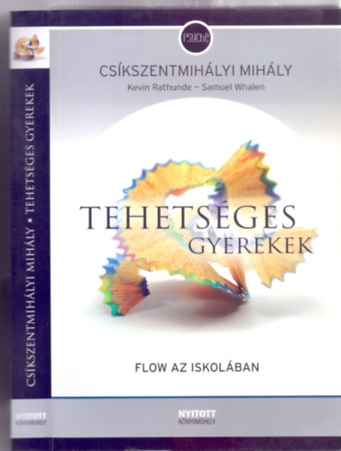 Tehetsges gyerekek - Flow az iskolban (Psyche)