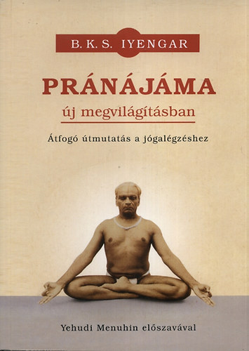 Prnjma j megvilgtsban - tfog tmutats a jgalgzshez