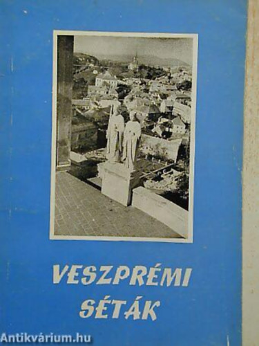 Veszpr�mi s�t�k