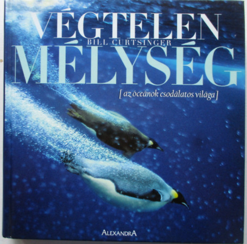 Vgtelen mlysg