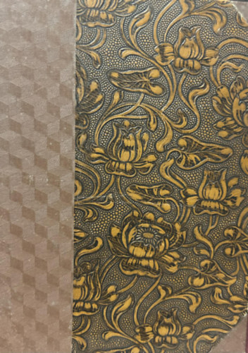 Lambrecht  K�lm�n - A Mount Everest ostroma (1924)