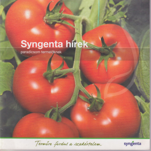 Syngenta hrek  paradicsom termelknek