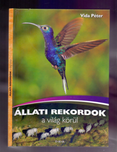Vida Pter - llati rekordok a vilg krl