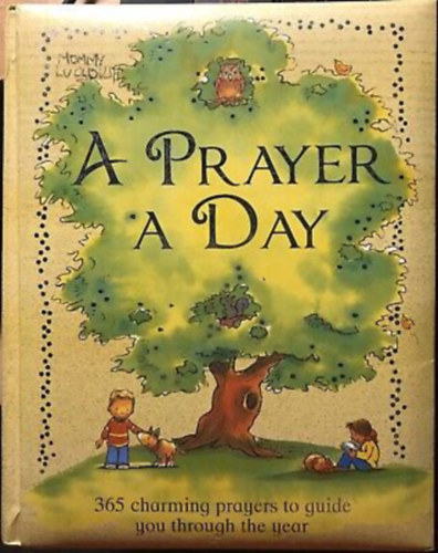 A Prayer a Day - 365 charming prayers to guide you through the Year