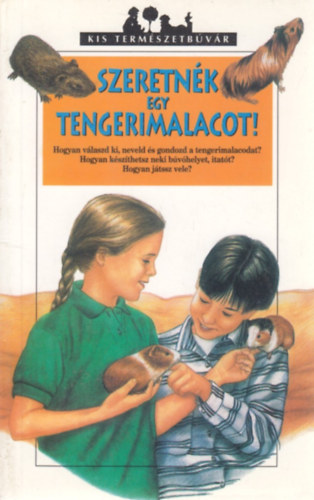 Szeretnk egy tengerimalacot!