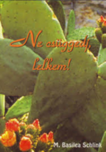 M. Basilea Schlink - Ne csggedj, lelkem!