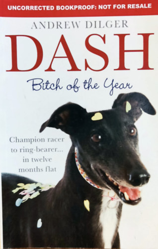 Dash: Bitch of the Year (Summersdale Publishers Ltd.)