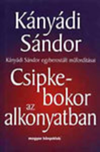 Csipkebokor az alkonyatban (Knydi Sndor egyberostlt mfordtsai)