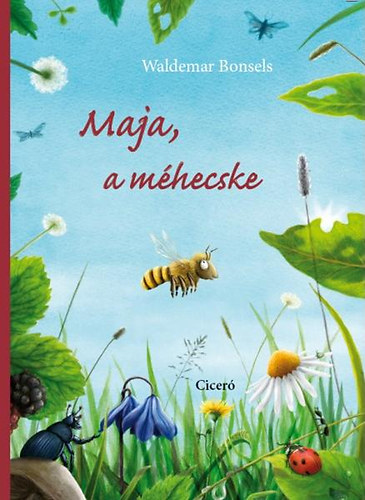 Maja, a mhecske