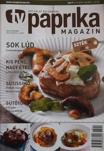 TV Paprika magazin - 2013. november - VIII. vfolyam 11. szm