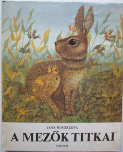 A mezk titkai