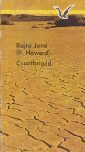 Rejt Jen  (P. Howard) - Csontbrigd