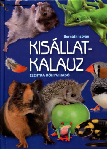 Kisllatkalauz