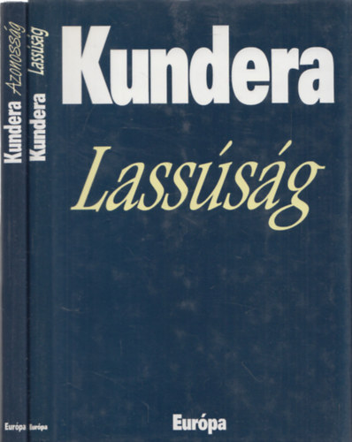 2db Kundera regny: Lasssg + Azonossg
