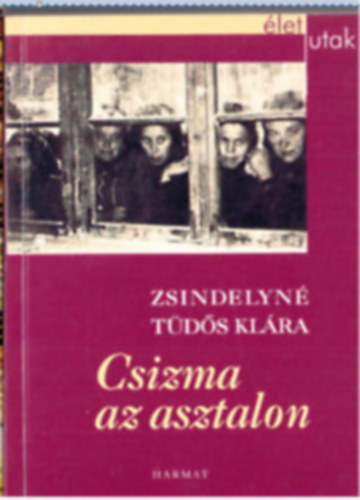 Illys Gyula - Csizma az asztalon