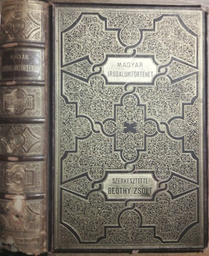 Kpes magyar irodalomtrtnet - A magyar irodalom trtnete I. ktet