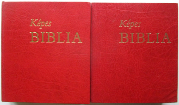 Szent Istvn Trsulat - Kpes biblia I-II.