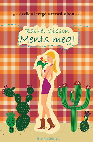 Rachel Gibson - Ments meg!