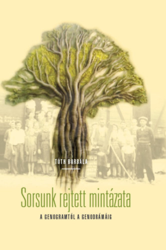 Sorsunk rejtett mintzata