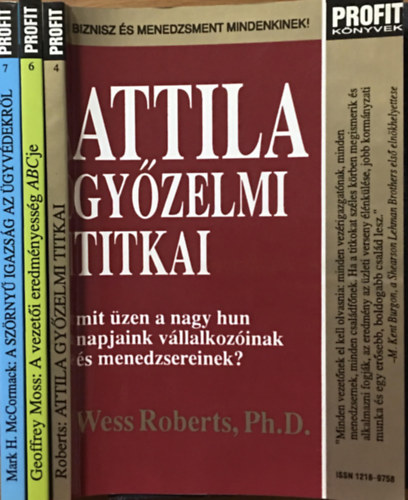 Biznisz s menedzsment mindenkinek! knyvcsomag (3 ktet)