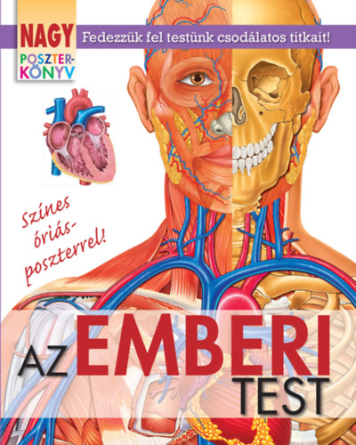 Nagy poszterknyv - Az emberi test