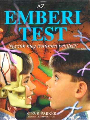 Az emberi test-Nzzk meg testnket bellrl!