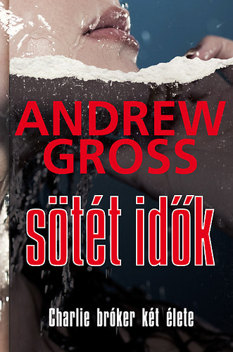 Andrew Gross - Stt idk