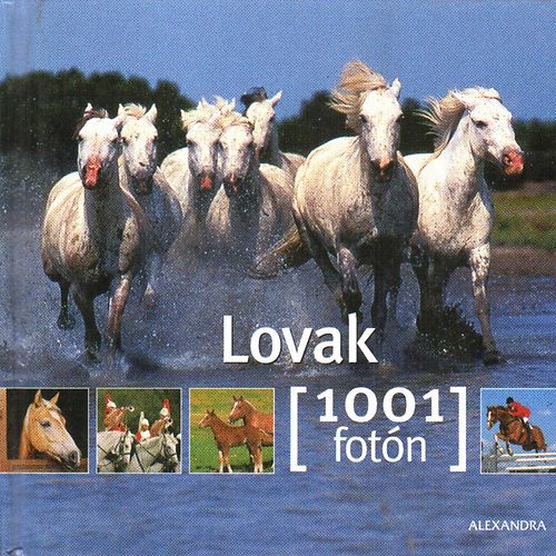 Lovak- 1001 fotn