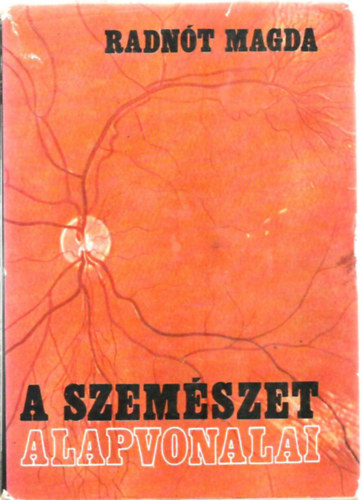 A szemszet alapvonalai