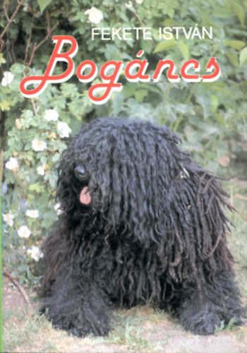 Bogncs