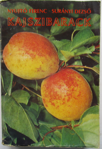 Kajszibarack