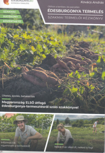 desburgonya termels - Otthon a kertben, kis parcelln (szakmai termeli kziknyv)