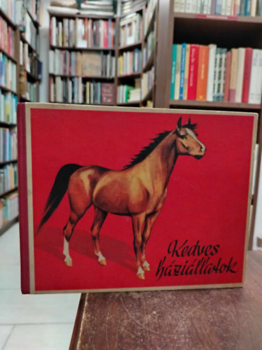 Kedves hzillatok