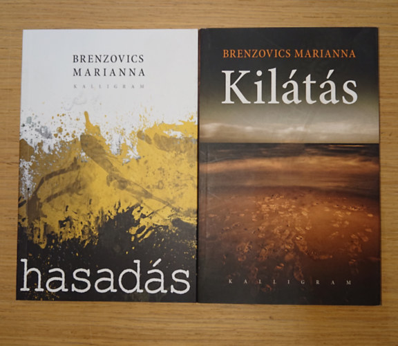 2 k�tet Brenzovics Marianna: Hasad�s, Kil�t�s