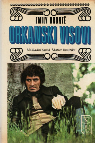 Orkanski visovi
