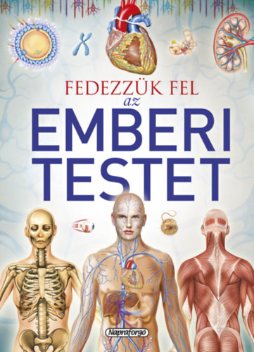 Jordi Vigu  (sszell.) - Tudstr - Fedezzk fel az emberi testet