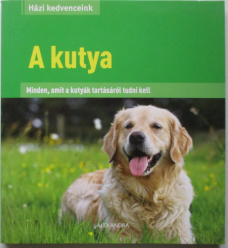 A Kutya
