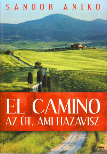 El Camino -  az t, ami hazavisz