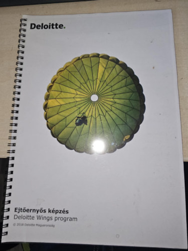 Ejternys kpzs - Deloitte Wings program