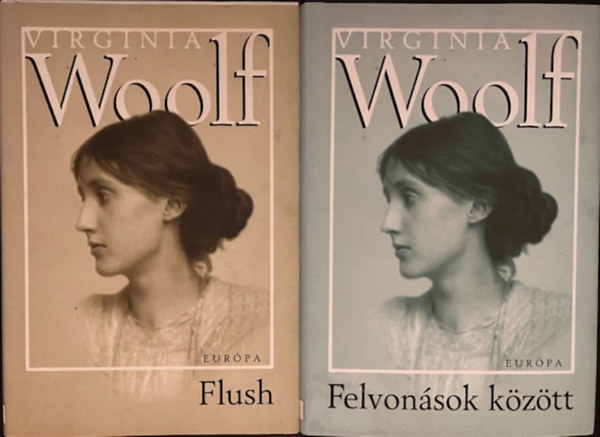 Virginia Woolf knyvcsomag (2 ktet )