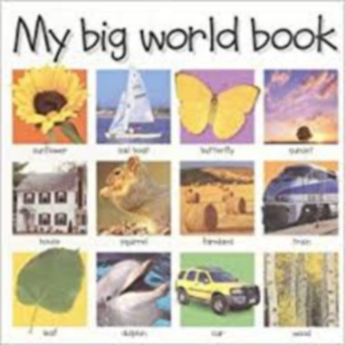 My Big World Book