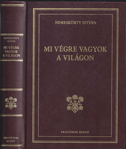 Mi v�gre vagyok a vil�gon?