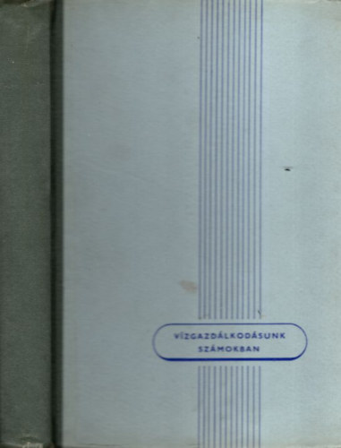Dr. Zrinyi J�zsef- Dr. L�szl� Ferenc - V�zgazd�lkod�sunk sz�mokban